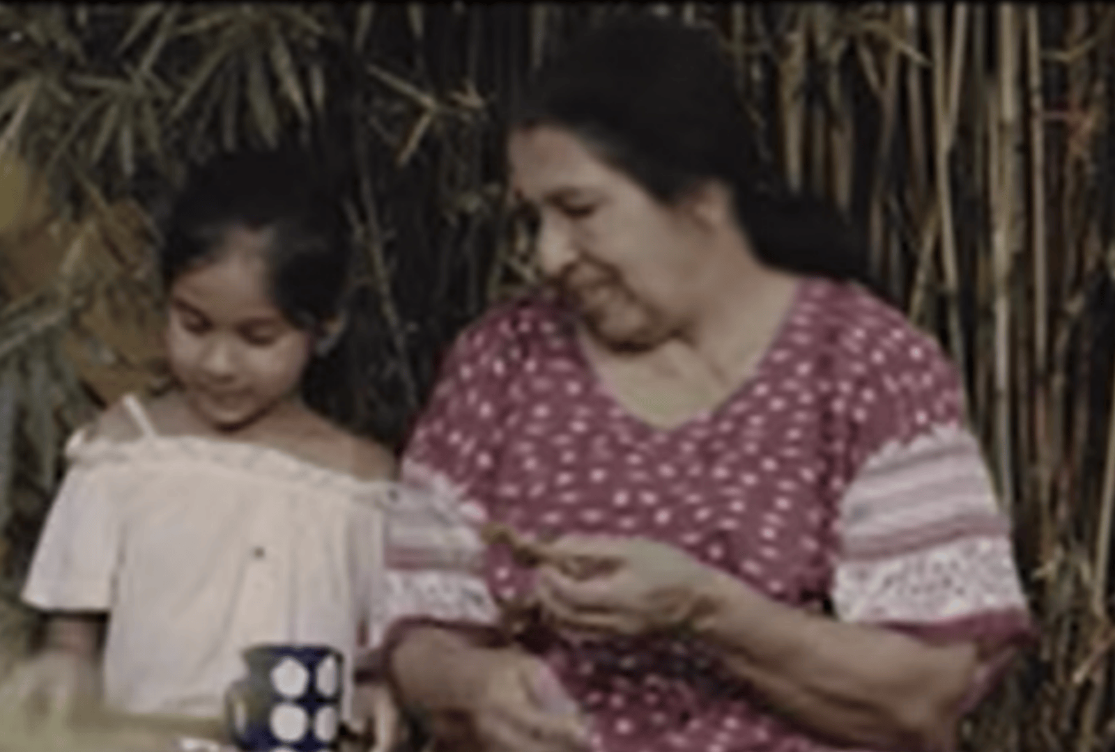 "ඔවුන් ගැන වෙනස්ව සිතමු" - ලෝක වැඩිහිටි දිනය වෙනුවෙන් Cinema lk ඉදිරිපත් කිරීමක්.