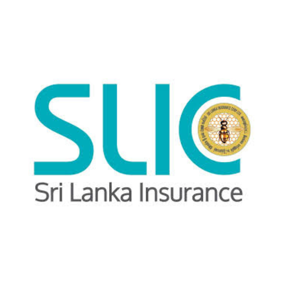 Untitled design (36)